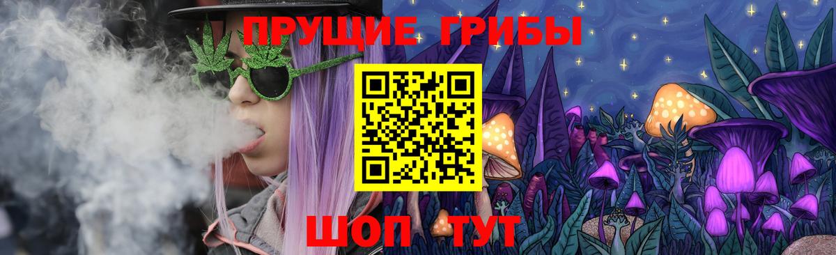 Казань  Галлюциногенные грибы MAGIC MUSHROOMS  наркота  Вход с VPN 